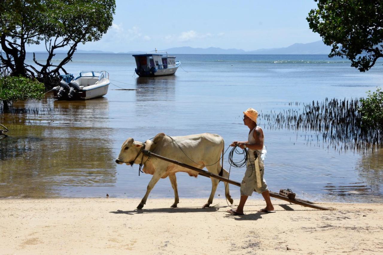 Nomad Divers Bangka Likupang Exteriör bild